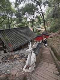 瀘州金龍寺：禪意間的心靈歸途