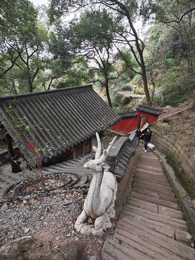 瀘州金龍寺：禪意間的心靈歸途