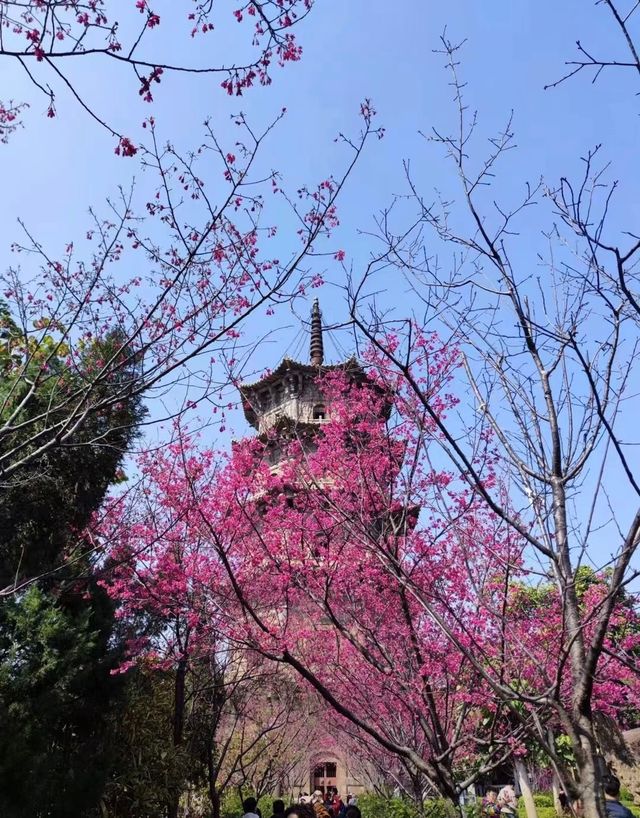 這兩天去了泉州，實話實說，泉州這個城市真的不得了