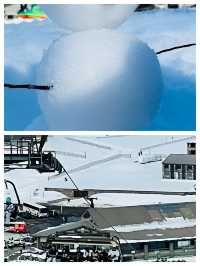 澳洲瑞雪谷：冬日仙境嘅夢幻之旅