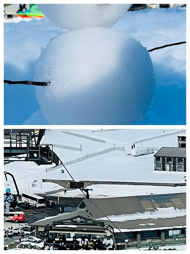 澳洲瑞雪谷：冬日仙境嘅夢幻之旅