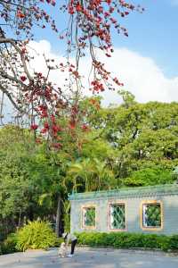 美哭！沒有哪個公園能比它更懂拿捏春和景明了