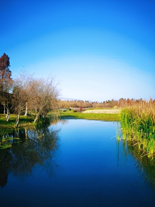 昆明周邊遊 | 滇池一角，寶豐濕地公園
