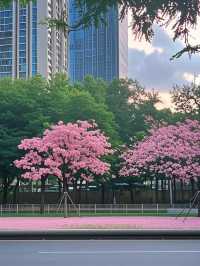 ​深圳園博園情侶暴甜攻略（附私藏機位）​