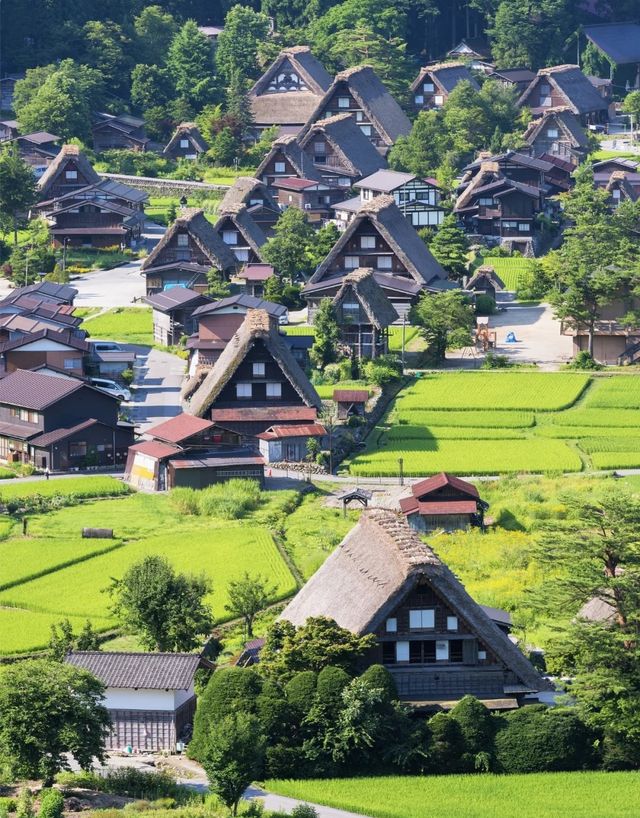 6月也能看雪？日本大雪谷開山