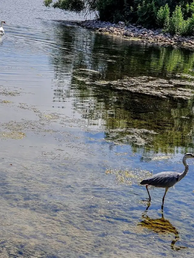 10-Day Nordic Adventure: Even More Fun with Old Friends