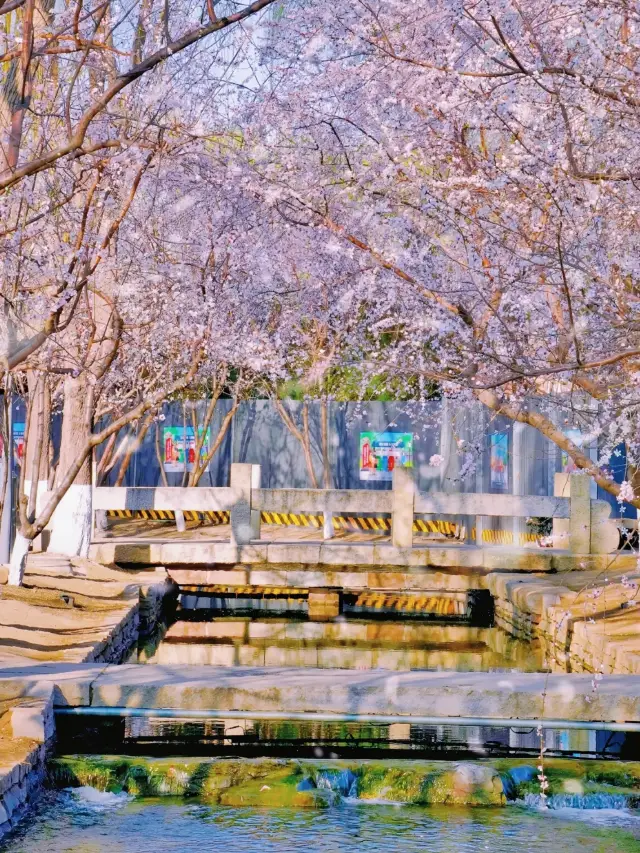 At Sanlihe Park, encounter the most laid-back spring.