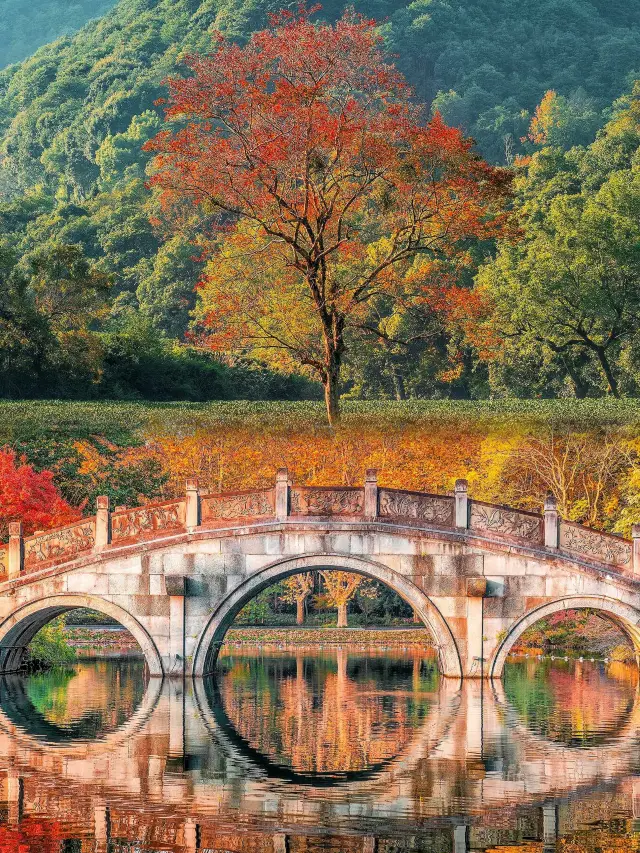 Hangzhou Travel Guide