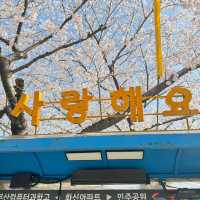 🇰🇷釜山的春天，只去這5個地方就夠了！