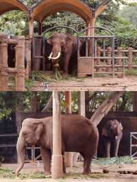 胡志明西貢動物園及其周邊