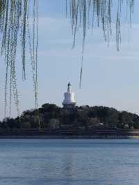 北海已回，說點難聽的大實話