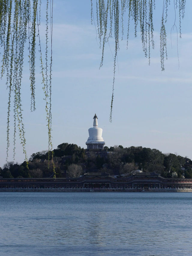 北海已回，說點難聽的大實話