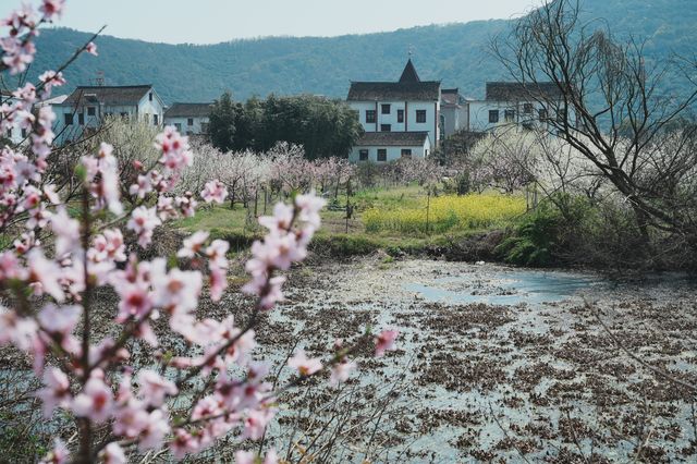 路遙知「虎」力，「捷」伴來 Hiking