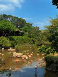 【富國島野性出片指南｜在珍珠野生動物園拍出野性大片】
