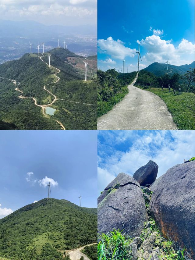 茂名必去景點，食荔枝嚟茂名！