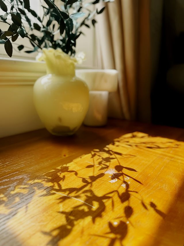 藏在梧桐樹裡的上海老洋房民宿！