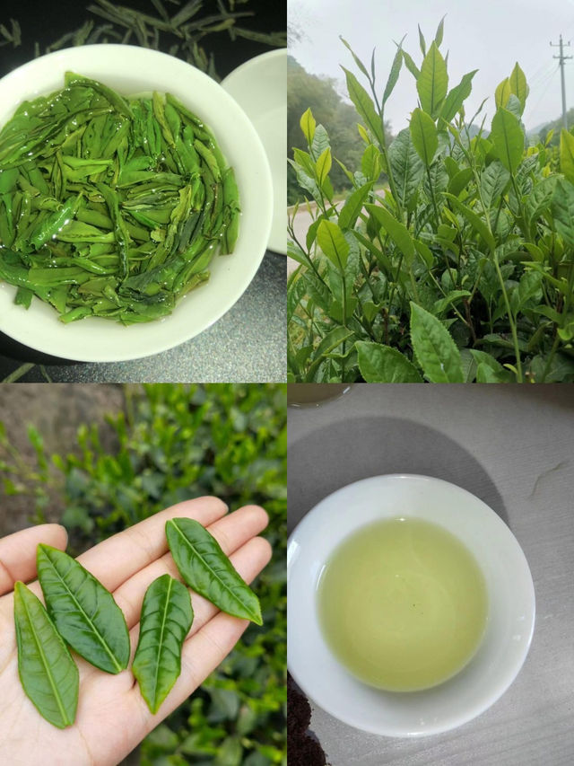 千萬不要錯過的六安特產美食