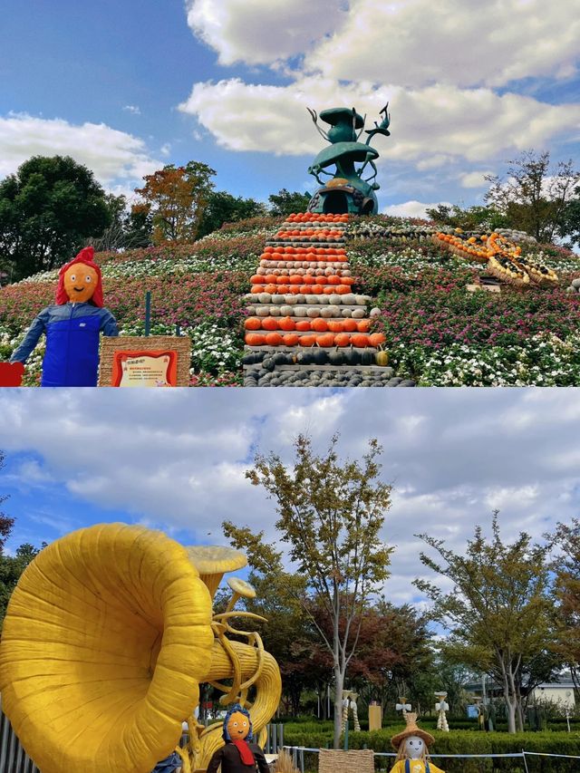萬萬沒想到!! 奇蹟花園現在可以rua萌寵了