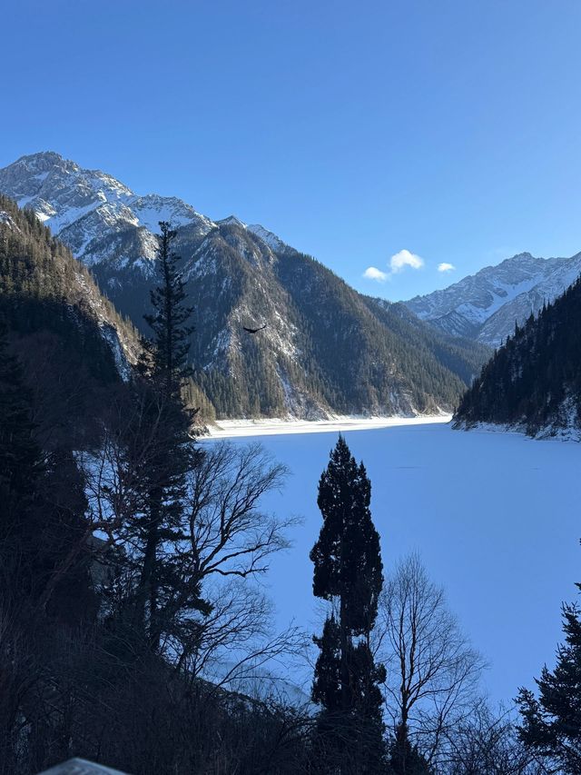 3天暢遊阿壩 玩轉熱門景點全攻略