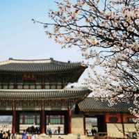 A few  days in Seoul