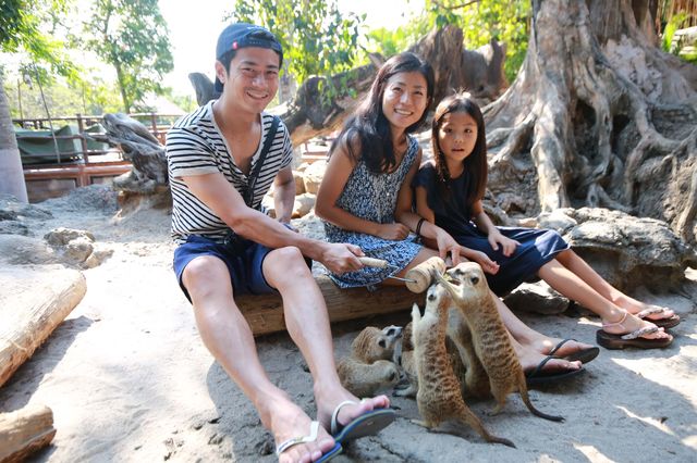 巴厘島野生動物園：與自然共舞的奇幻之旅