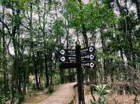 重慶市沙坪壩區著名文物保護區景點：虎風山、適合拍照打卡、週末閒暇度假地！ 