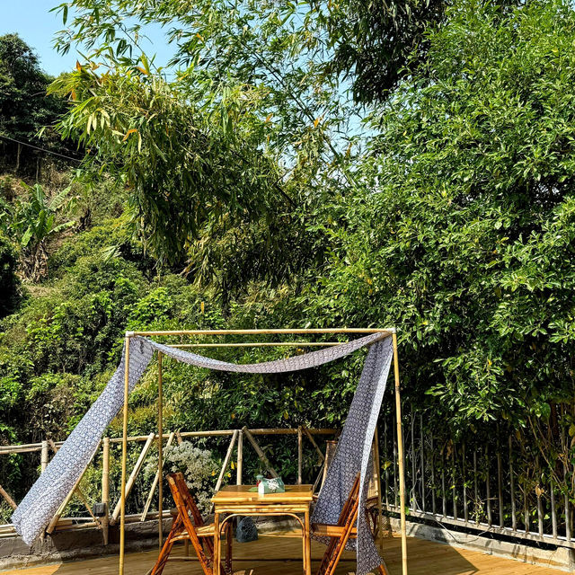 🌳深圳新開！藏在山裡的田園鄉村小院🍃