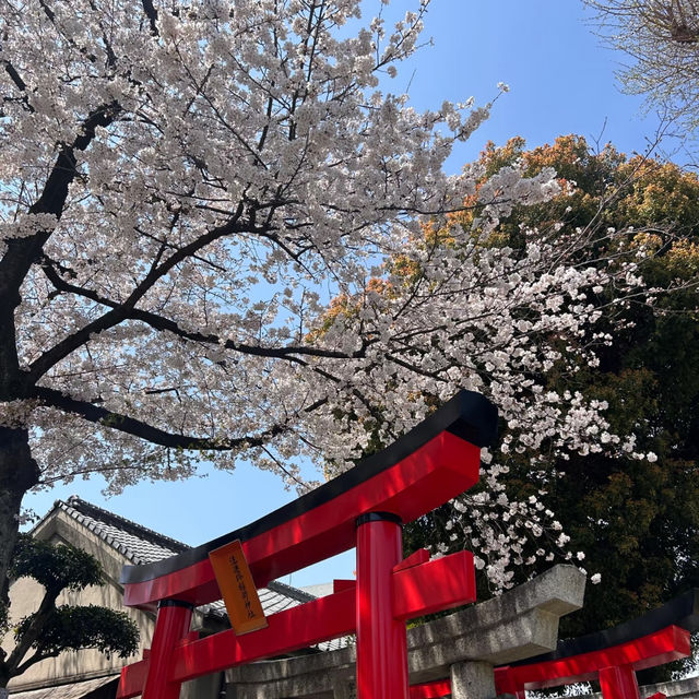 🇯🇵福岡｜櫛田神社攻略👹