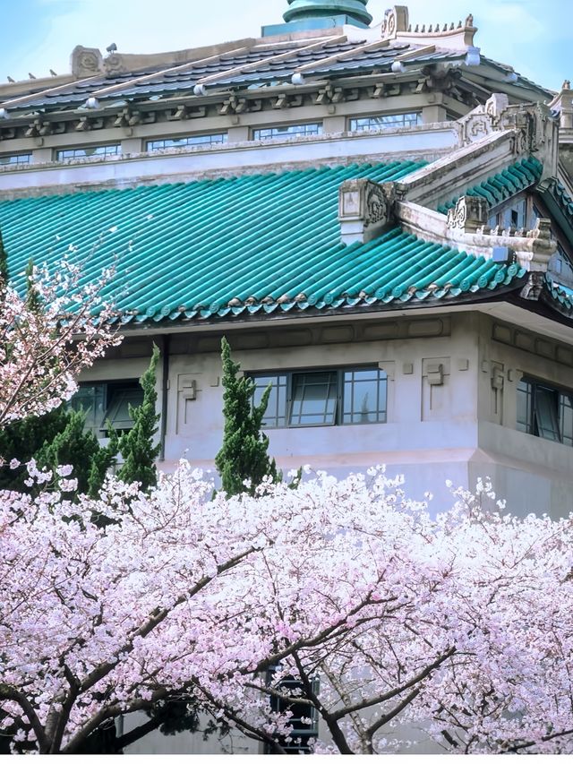 武漢三月