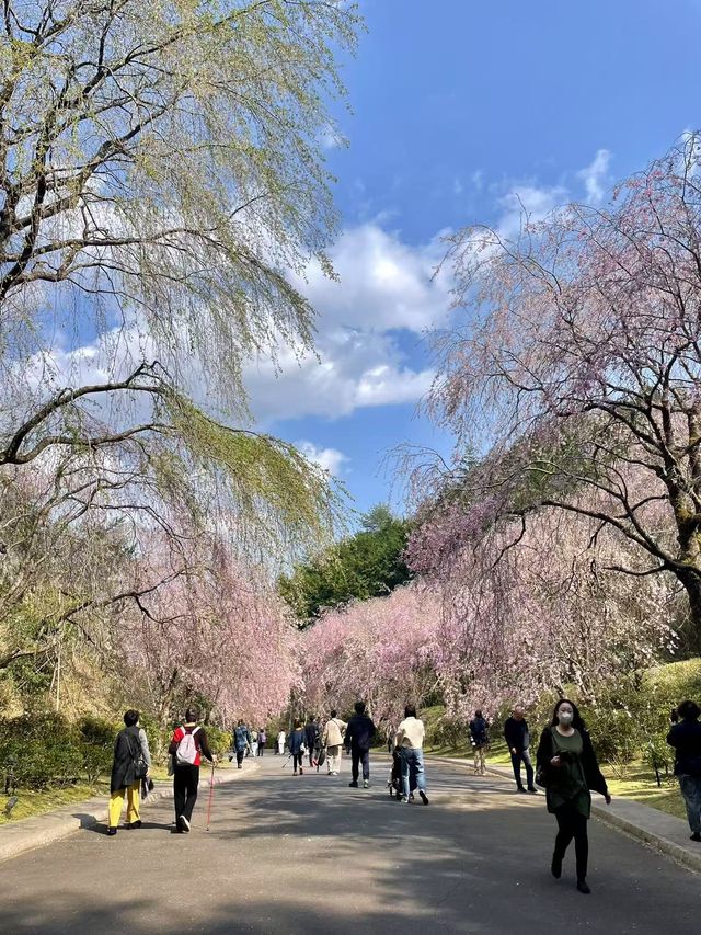 隱藏在深山中的夢幻聖殿
