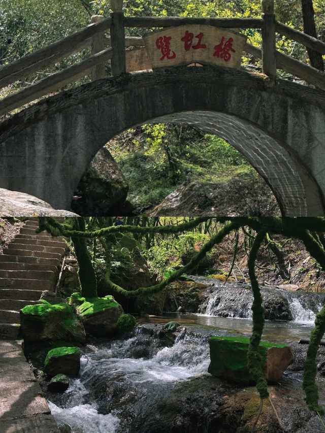 不誇張超好玩河南人自己的綠野仙蹤