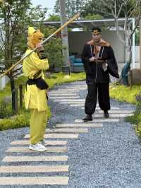 「西游奇遇，椿鲤共聚」