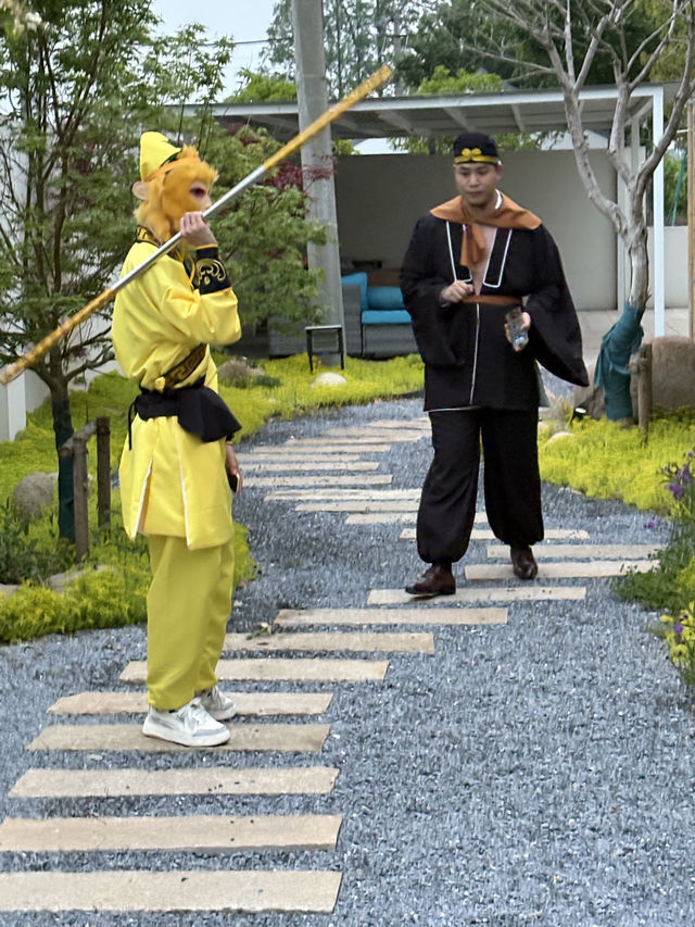 「西游奇遇，椿鲤共聚」
