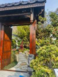 🌸 維多利亞公園花卉展：自然的色彩盛宴