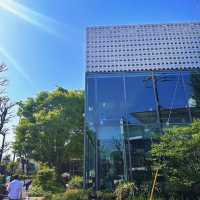 🌿東京最療癒的慢調時光｜中目黑→代官山散策筆記