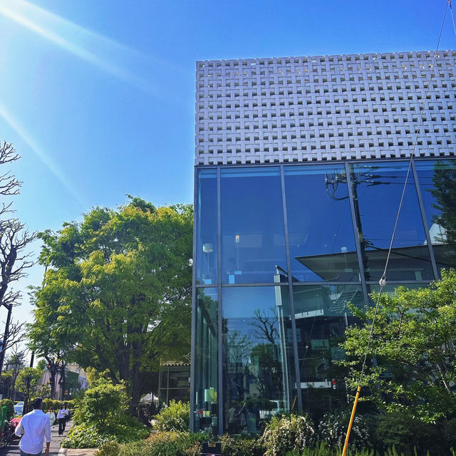 🌿東京最療癒的慢調時光｜中目黑→代官山散策筆記