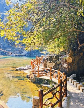 남곤산 여행기: 북회귀선상의 푸른 요정의 숲