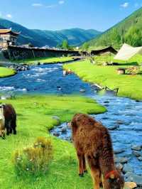 小橋.牛羊.溪流!!甲根壩係世外桃源咁嘅存在。