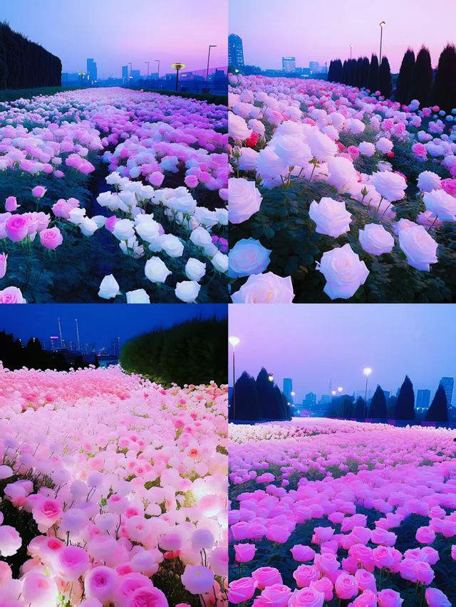 蜜蜂都羨慕的約會聖地