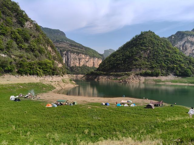 野紀河
