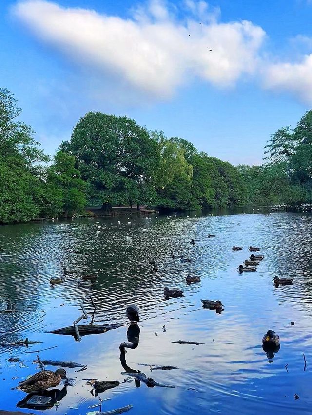 Wollaton Hall and Gardensand Deer Park in Nottingham 