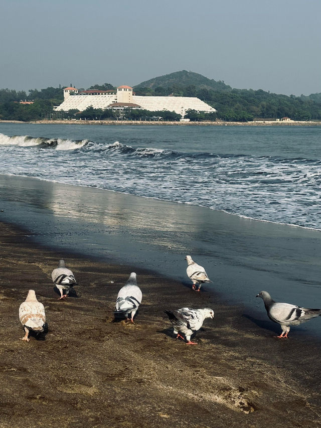 澳門黑沙灘：獨特的海灘奇景