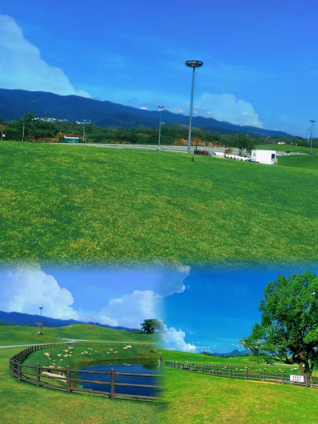 夏天嘅呼倫貝爾 ，比外國更靚