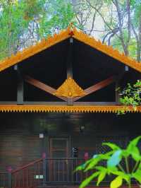 普洱太陽河森林公園 | 自然與文化邂逅