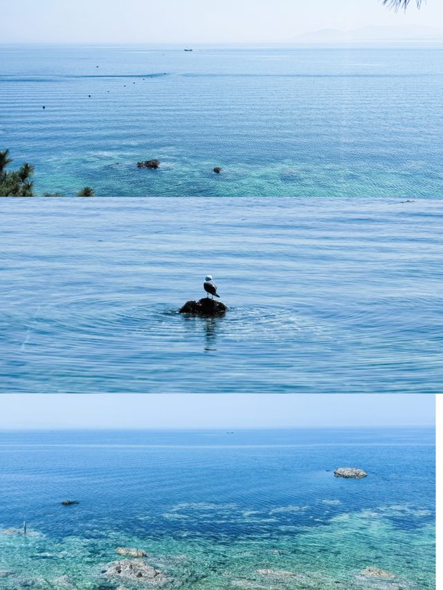 煙台果凍海秘境｜養馬島自駕環島全攻略