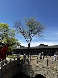 獨闢蹊徑遊代州，小縣城有大寶藏