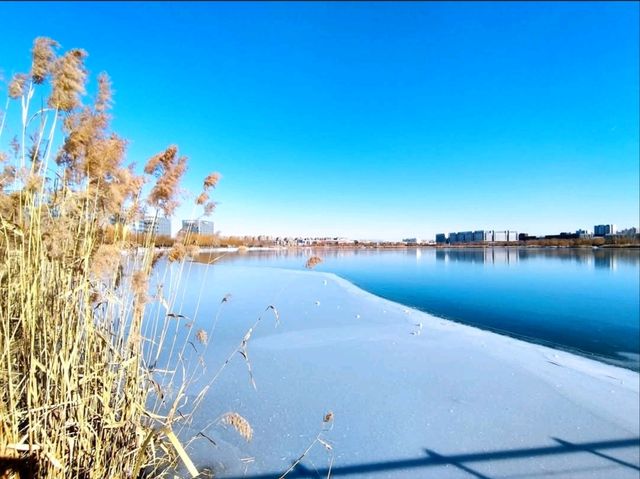 East Lake (东湖) / Dongli Lake Area