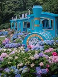 上海濱江森林公園在辦一種很新嘅繡球花展！💐