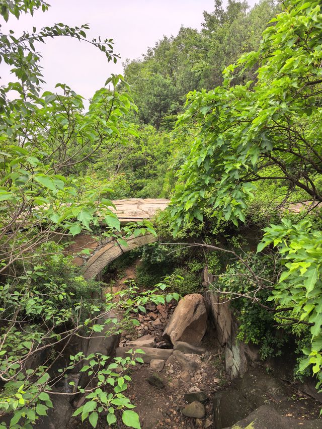 登山，由西山國家森林公園穿越至八大處公園。