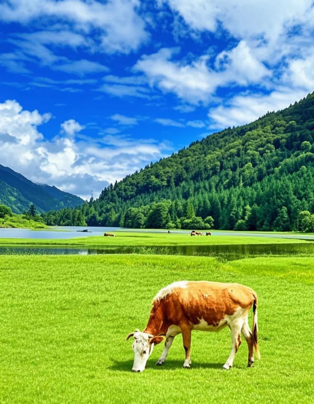 康定之旅：邂逅浪漫與自然